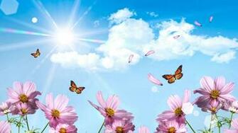 Wallpaper HD Hello Spring Butterfly