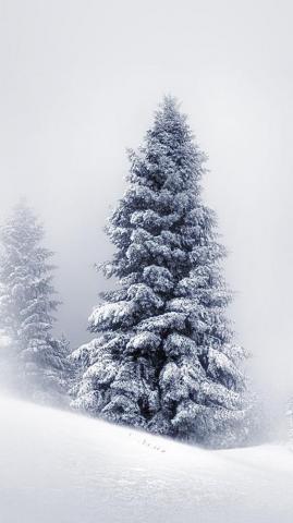 Winter iPhone Wallpaper