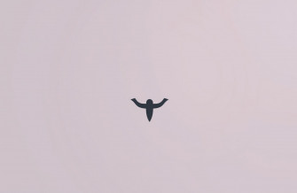 Anonymous Logo Wallpaper
