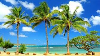 Caribbean Beach High Definition Wallpaper HD