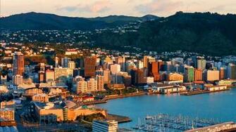 Organisational Change Management Wellington June Falcon