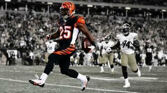 Bengals Wallpaper
