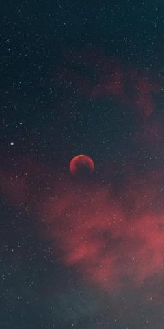 Beautiful Wallpaper