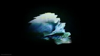 Nin Background