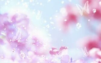 Computer Theme Great Background Mac Photo Flowers Create Color