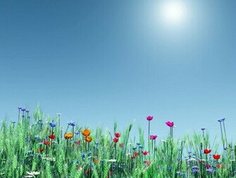 Spring Flowers Desktop Pc And Mac Wallpaper