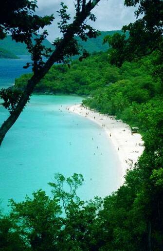 Trunk Bay St John Travel Wallpaper And Stock Photo