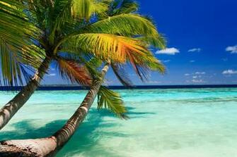 Tropical Beach Wall Mural Eazywallz