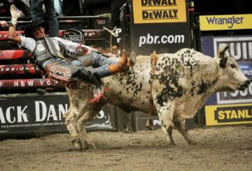Bull Riding Bullrider Rodeo Western Cowboy Extreme Cow