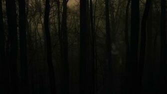 Haunted Forest Computer Wallpaper Desktop Background