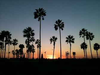 Venice Beach Sunset Wallpaper At Wallpaperbro