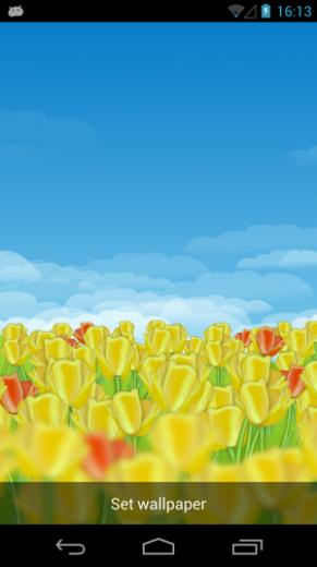 Dutch Tulips 3d Live Wallpaper Android