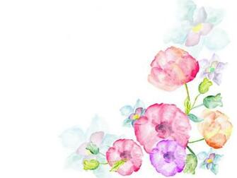 Watercolor Flowers Greetings Background Pink Red White