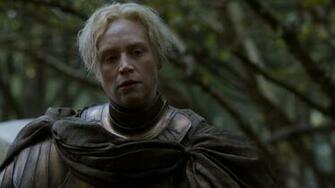 Brienne Of Tarth Image Screencaps HD Wallpaper