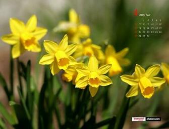 April Wallpaper Blossoming Spring Desktop Calendar