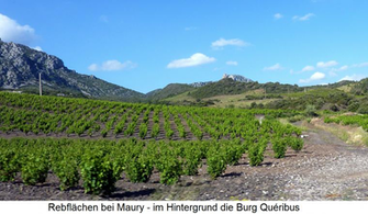 Wines From Maury Aoc Wein Plus Wine Guide