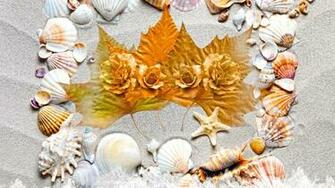 Cool Seashells Wallpaper For