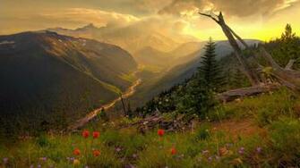 Spring Landscapes Wallpaper