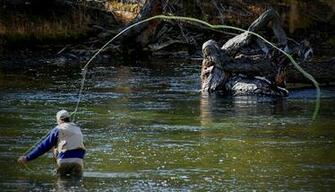 Fly Fishing Image Fish Image