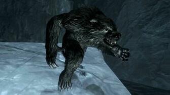 Werebear By Ndc880117