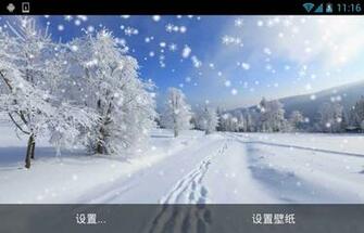 Winter Snow Live Wallpaper If Comes Enjoy The Together Now