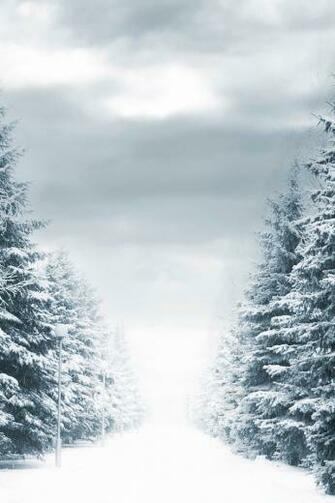 Winter Background iPhone Wallpaper HD