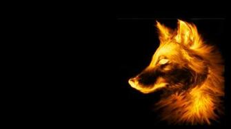 Wolf On A Black Background Wallpaper 3d For Desktop