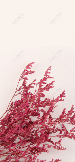 Small Fresh Mobile Phone Wallpaper Image On Lovepik