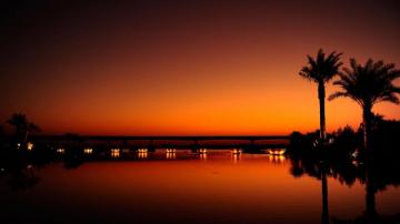 HD Wallpaper Trees Orange Dubai Safari