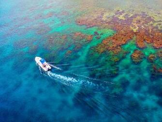 Coral Reef Picture Ocean Wallpaper National Geographic Photo Of