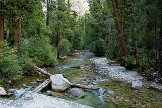 Photos Kings Canyon National Park Usa California Nature Parks