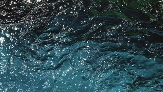 Imac Wallpaper Inch Details