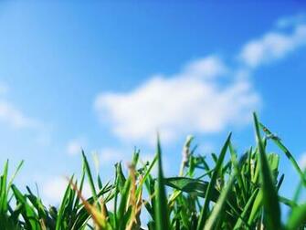 Nature Wallpaper Pack Csarchive Net