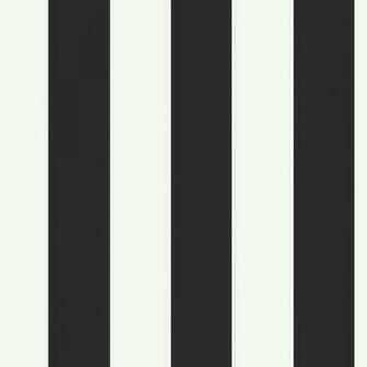 Silk Stripe Black White Wallpaper Modern By Cypress