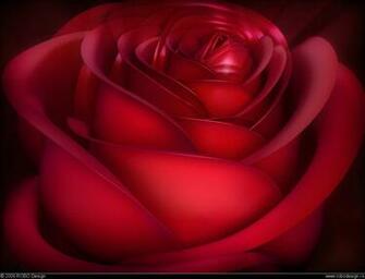 Wallpaper Gallery Love