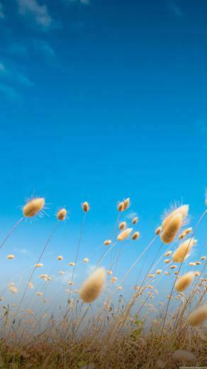 Beautiful Lock Screen Blue Wallpaper In