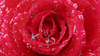 Wallpaper For Girls Image Photos Picture