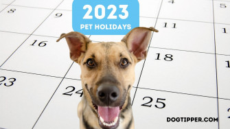 Pet Holidays Days Weeks Months For Dogs Cats