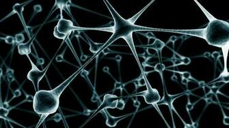 Gallery For Microbiology Wallpaper Top Hq