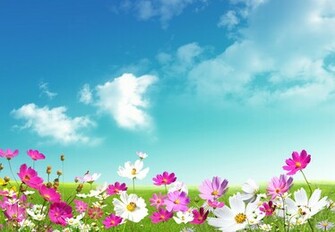 Spring Wallpaper Desktop HD