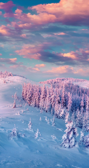 Cute Snow Wallpaper