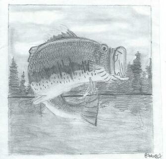 Largemouth Bass Art For