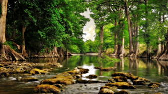 HD High Resolution Wallpaper Of Nature Desktop