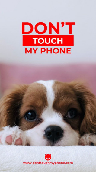 Don T Touch My Phone Cute Animal Wallpaper Dont