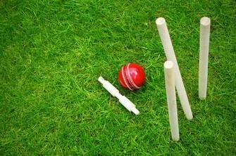 Cricket Wallpaper Awesome Grass Green