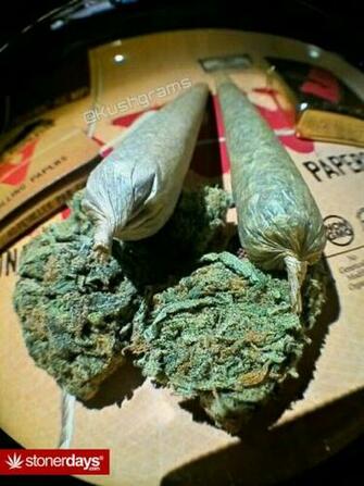 Weed Blunt Wallpaper Stoney Submissions Marijuana