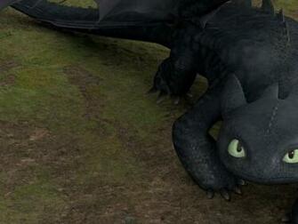 To Train Your Dragon Pictures Wallpaper And Desktop Background