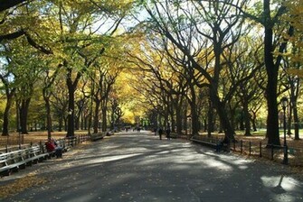Central Park In New York City Usa