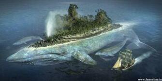 Whale Wallpaper Killer And Blue Whales HD