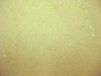 Plain Background